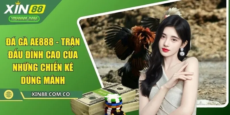 đá gà ae888 trận đấu đỉnh cao của những chiến kê dũng mãnh