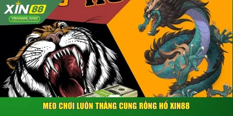 Mẹo chơi luôn thắng cùng rồng hổ XIN88 